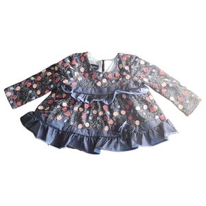 NWT‎ Isobella & Chloe Embroidery Floral Mesh Dress 2T